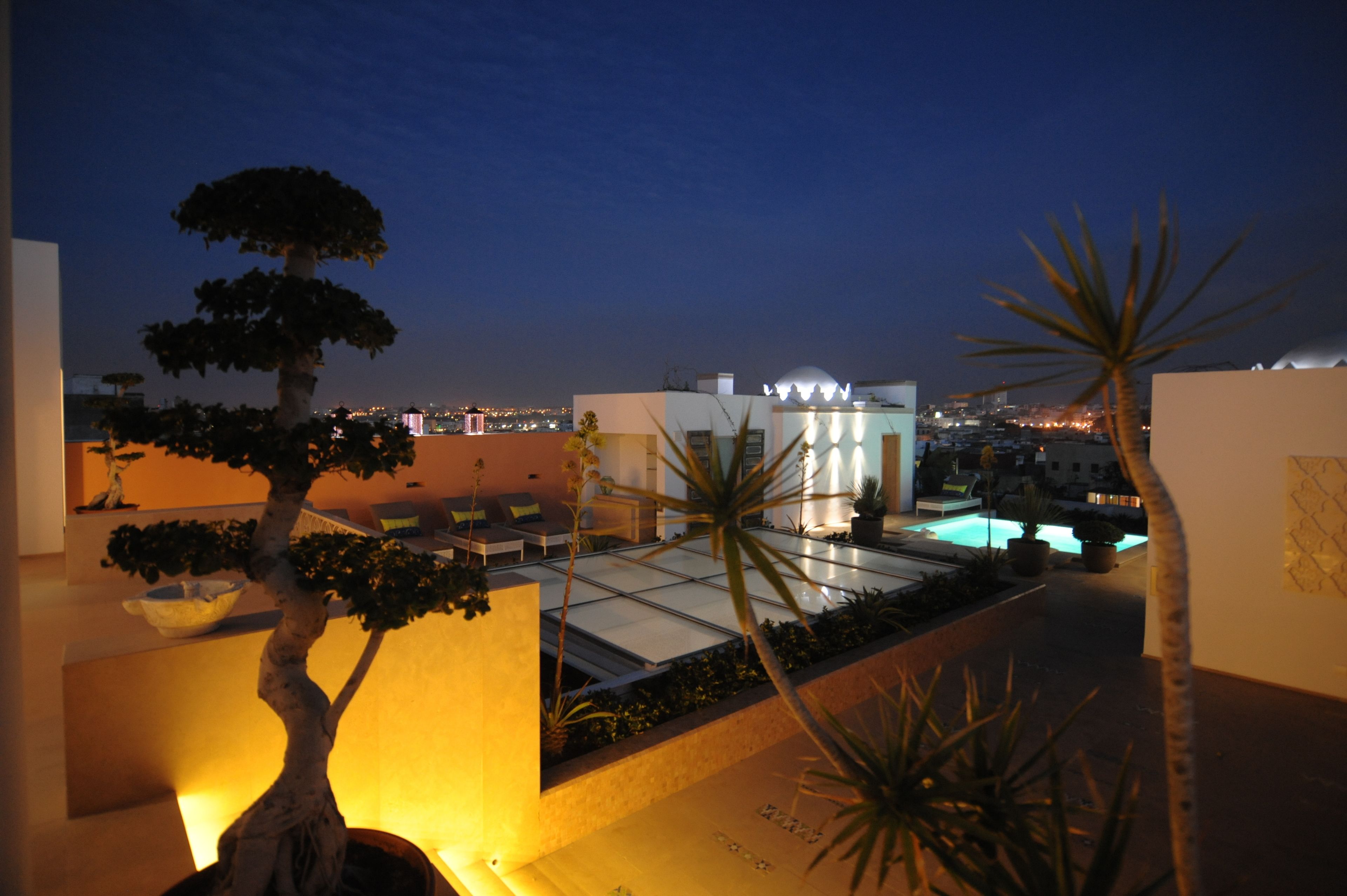 A rooftop terrace with a pool, potted plants, and a view of the city at dusk.