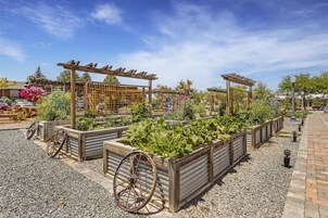 Servicio de la propiedad