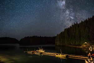 Una noche estrellada sobre un lago tranquilo con barcos amarrados en un muelle, rodeado de un bosque denso.