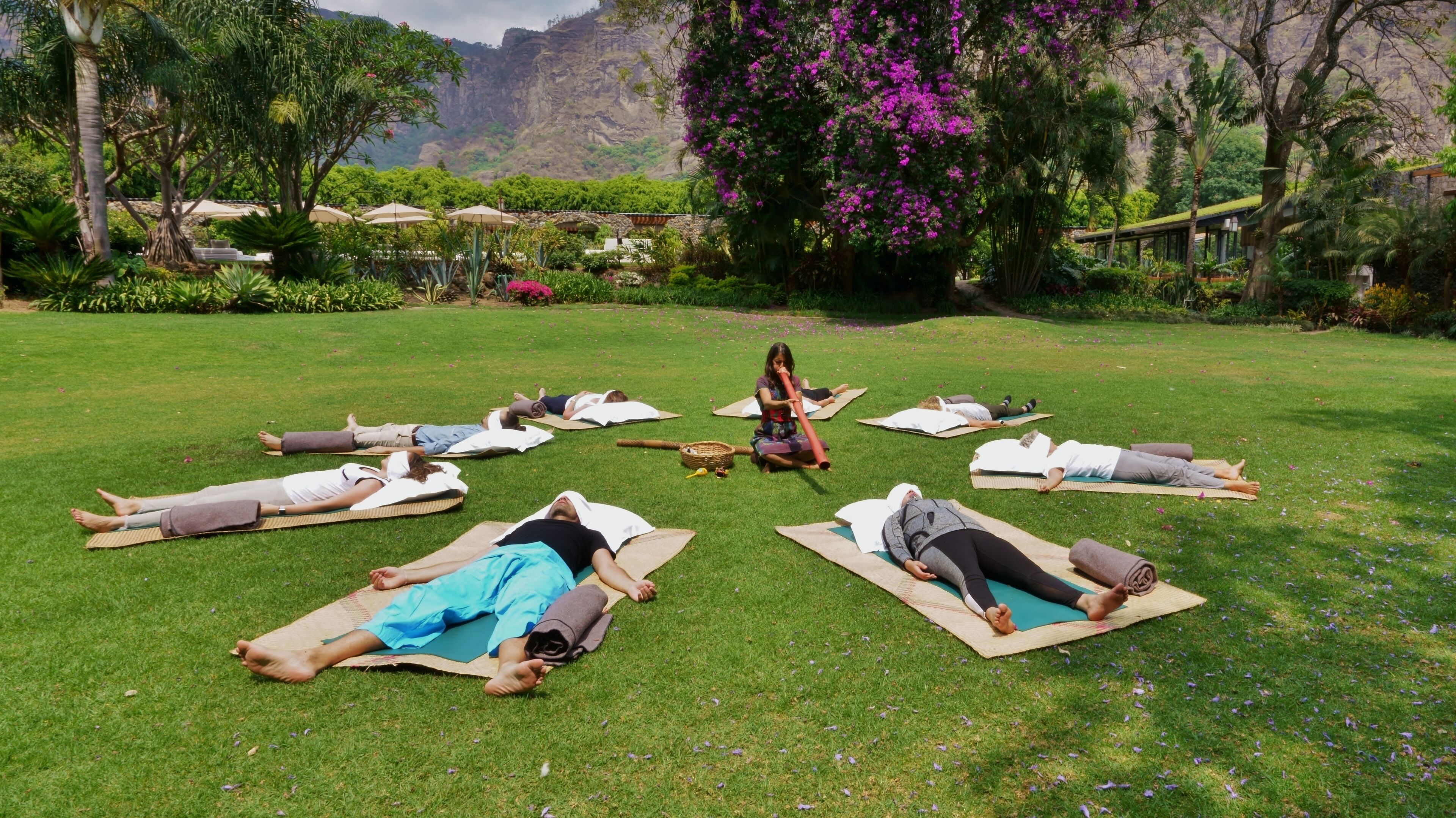 A group of people practicing yoga on a grassy lawn with a mountainous backdrop.