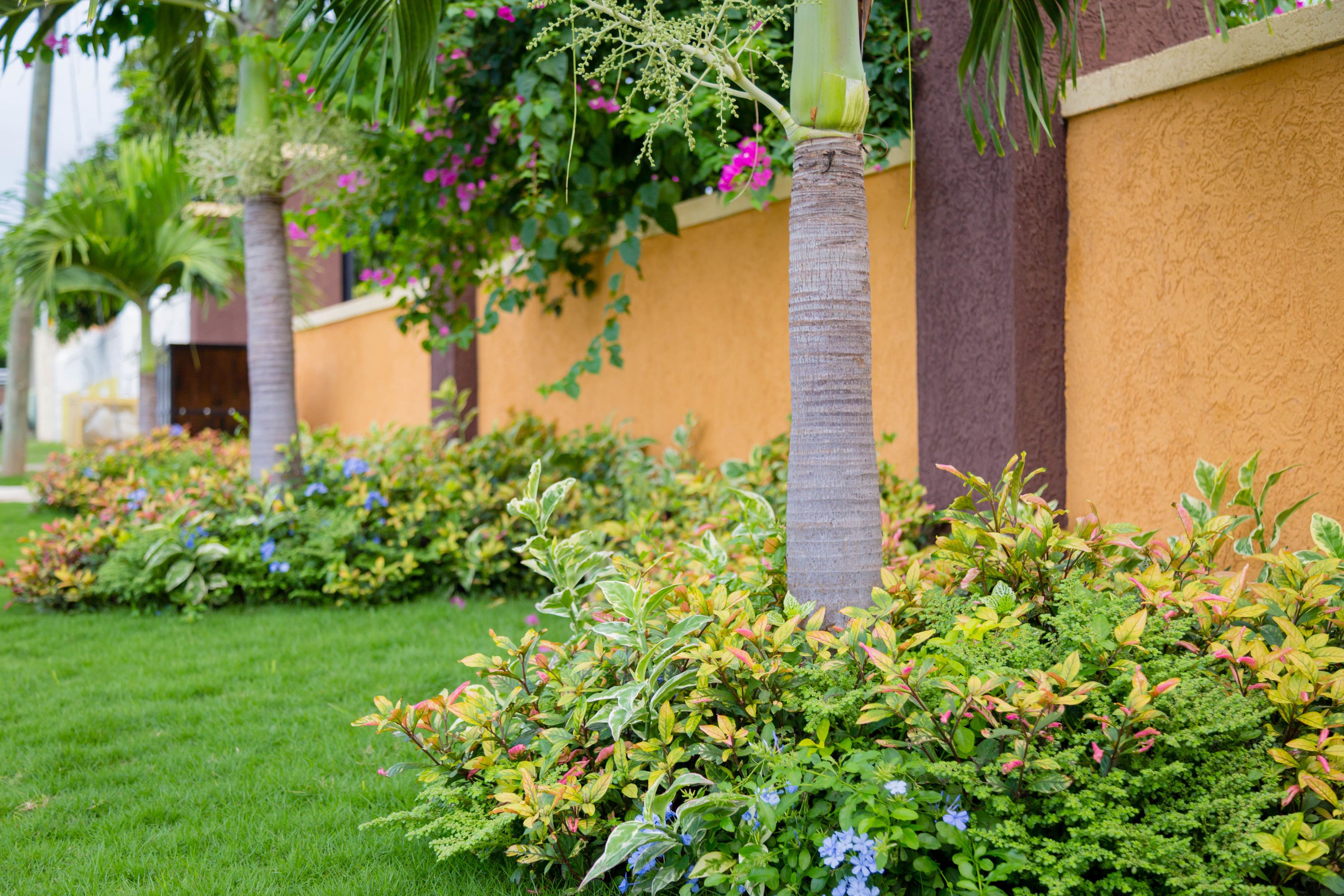 Áreas de la propiedad