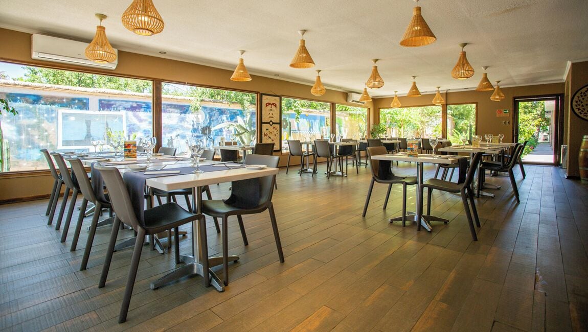 A spacious dining area with multiple tables and chairs, large windows offering views of greenery, and hanging pendant lights.