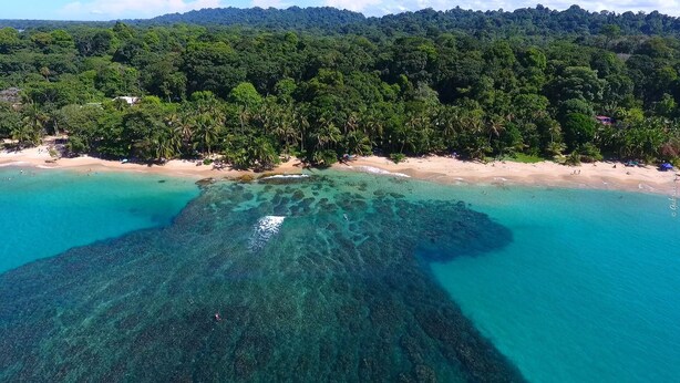 Vista aérea de una playa con aguas turquesas cristalinas y una ladera cubierta de bosque.