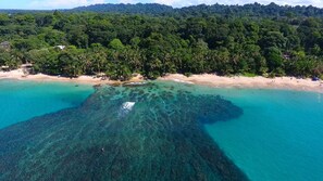 Beach nearby - Casa Merlin Lodge (Cahuita)