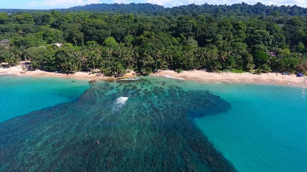 Beach nearby - Casa Merlin Lodge (Cahuita)