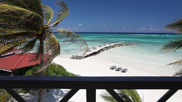 View from property - Mangos Jamaica (Falmouth)