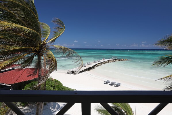 View from property - Mangos Jamaica (Falmouth)