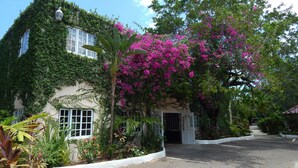 Property entrance - Mangos Jamaica (Falmouth)