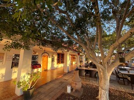 Un patio con un árbol, mobiliario exterior y un edificio con recepción.