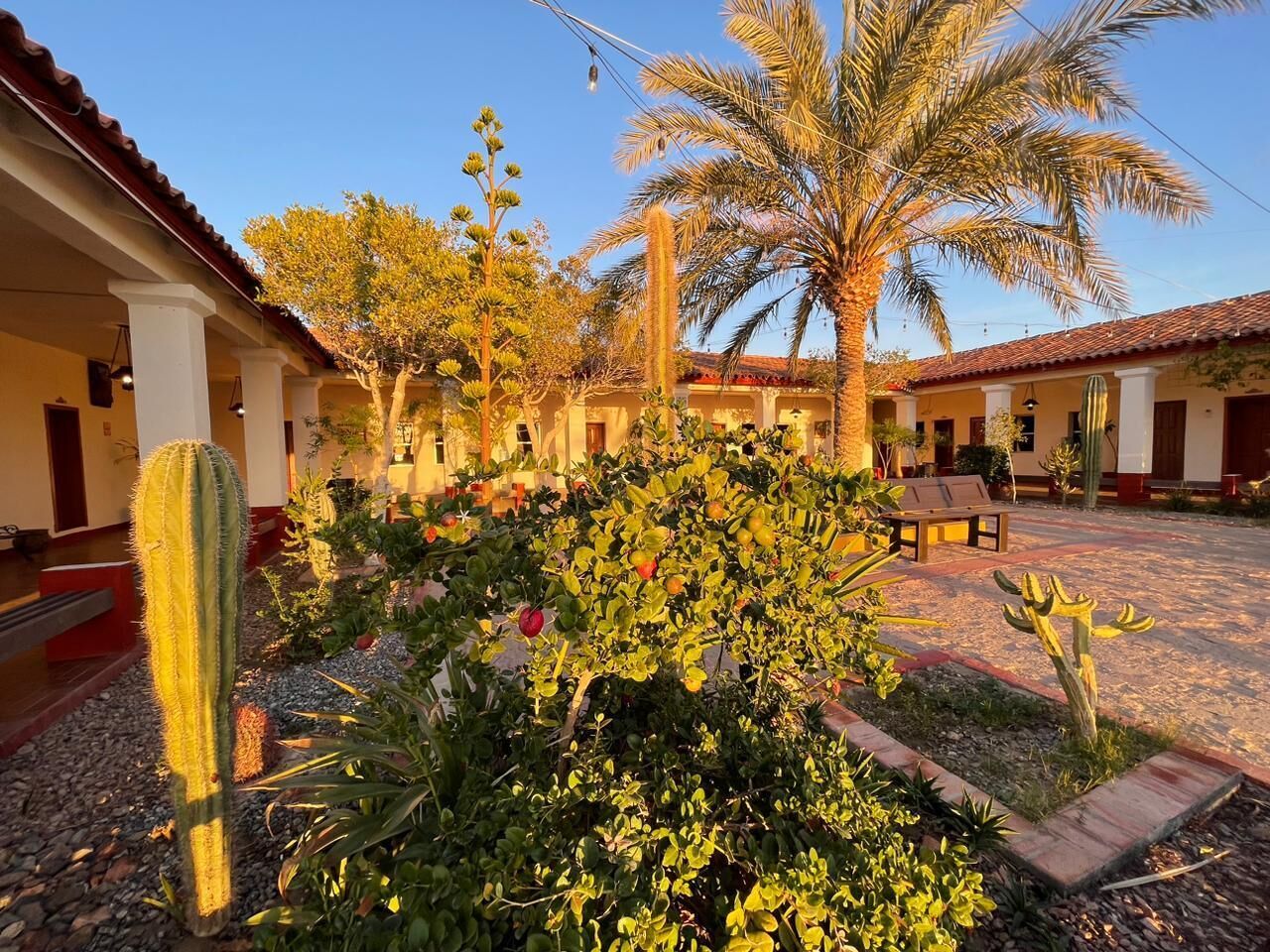 Exterior
