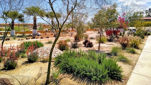 庭園