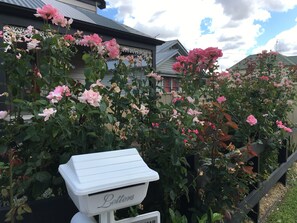 Exterior - Stay Social (Bendigo)
