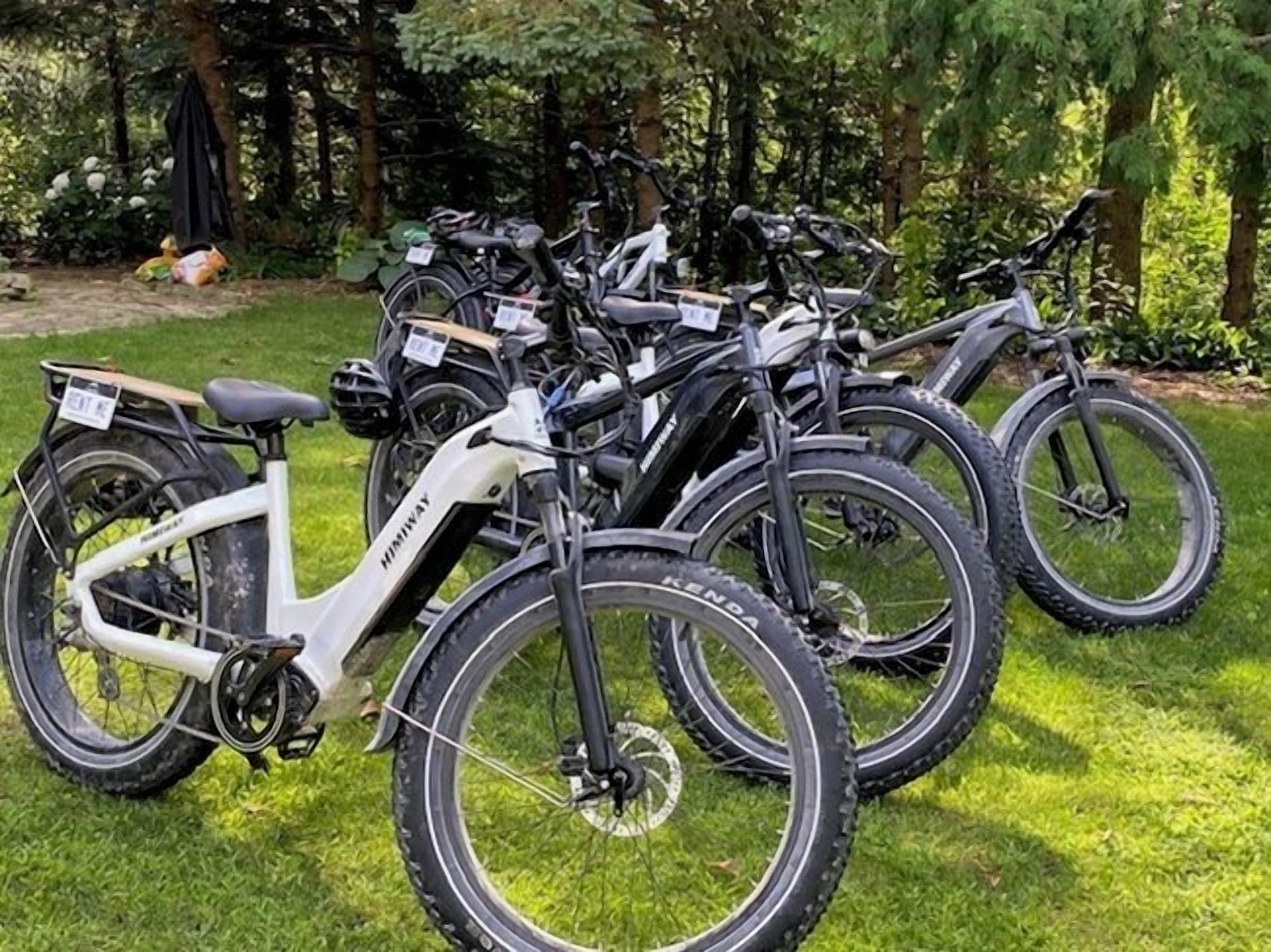 A row of stationary bicycles parked on a grassy area.