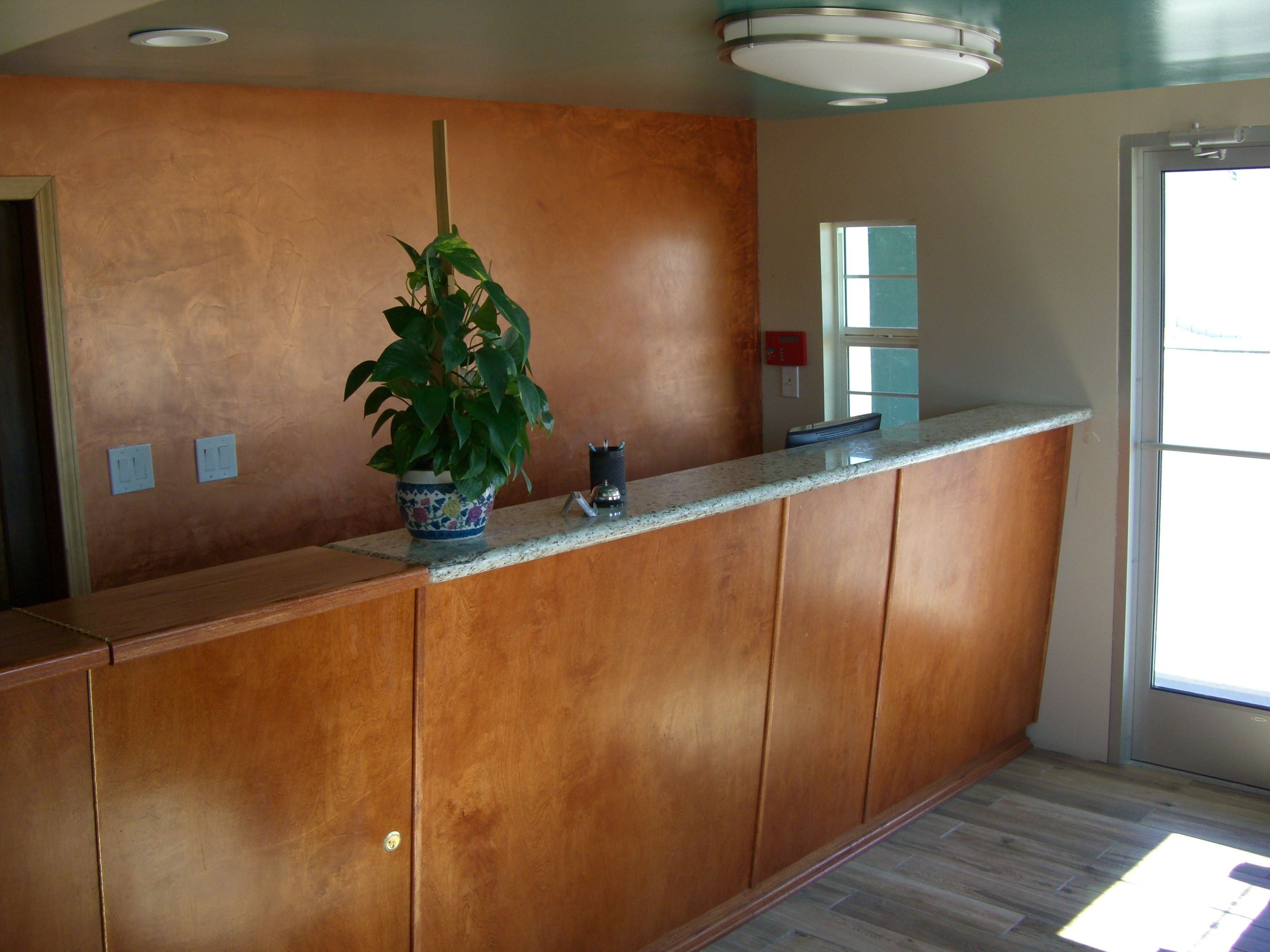 A reception desk with a potted plant, a small trash can, and a fire extinguisher.
