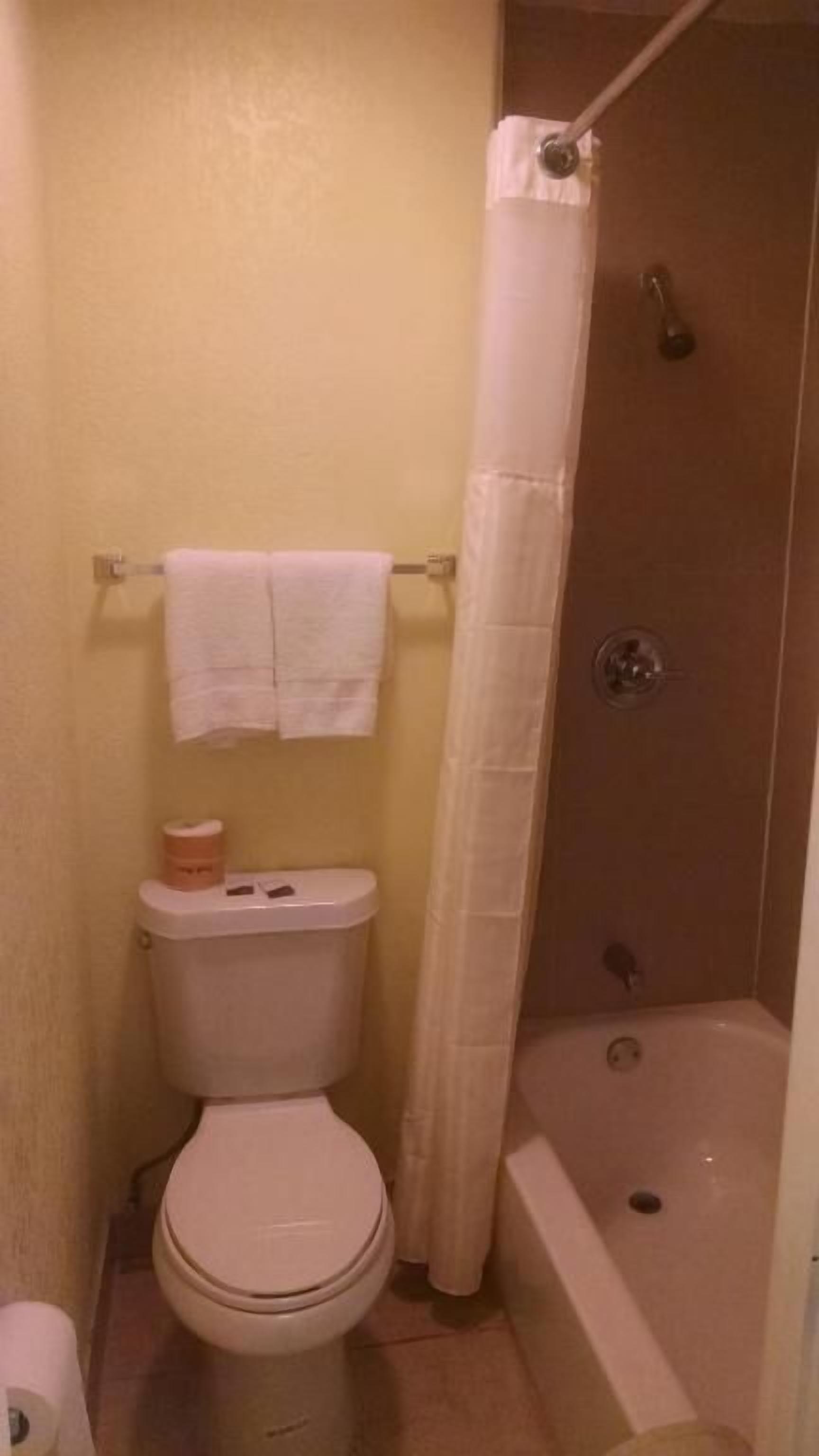 Ein kleines Badezimmer mit Toilette, Dusche und Handtuchhalter.