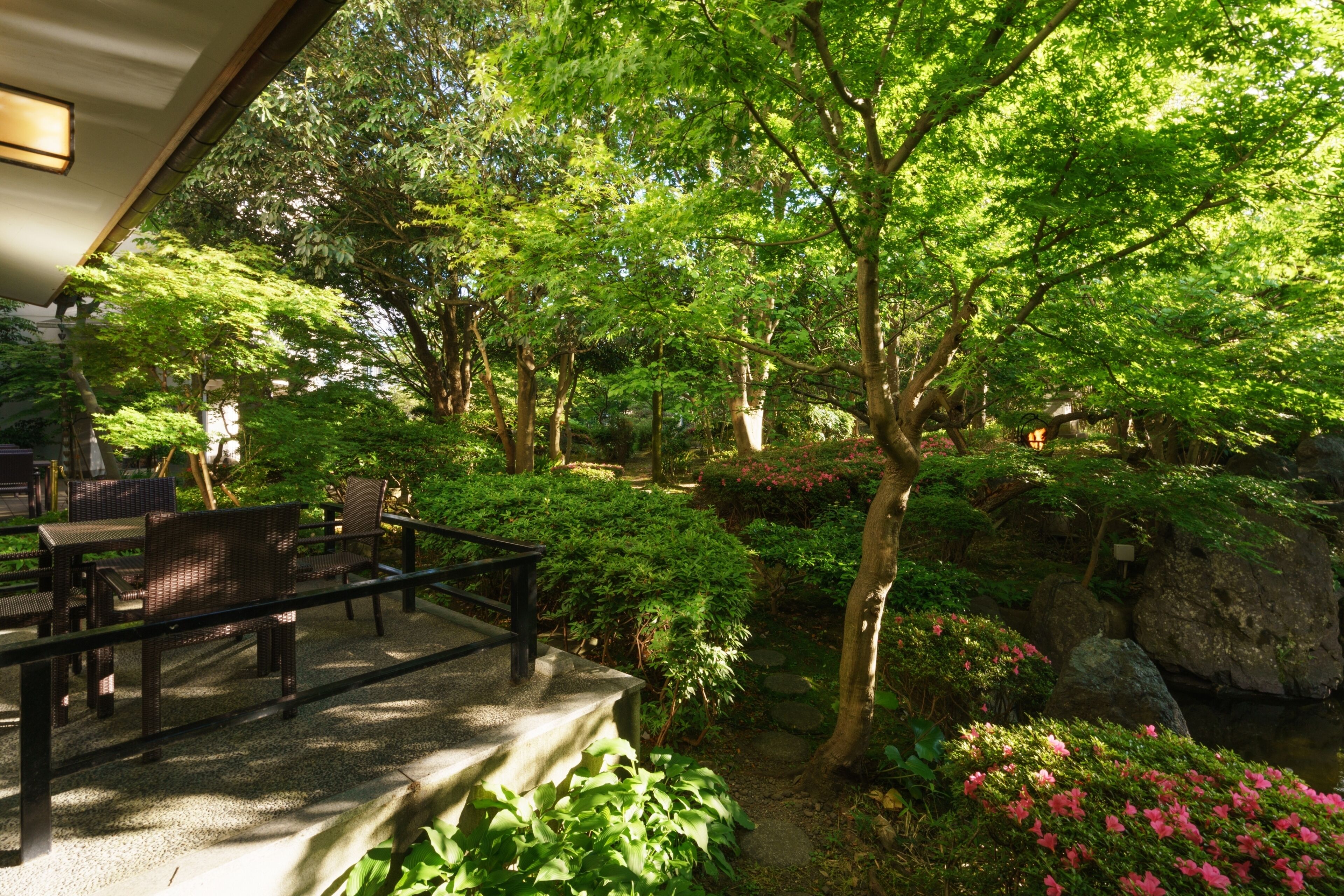 A serene garden with a wooden deck, stone pathway, and lush greenery.