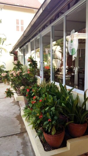 ساحة الطعام