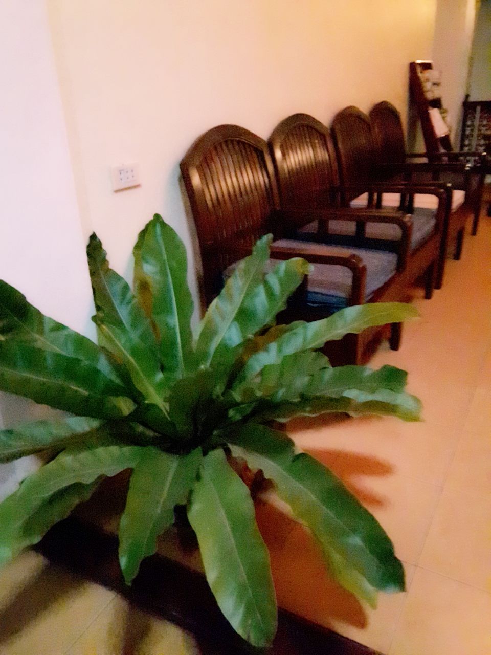 مدخل داخلي