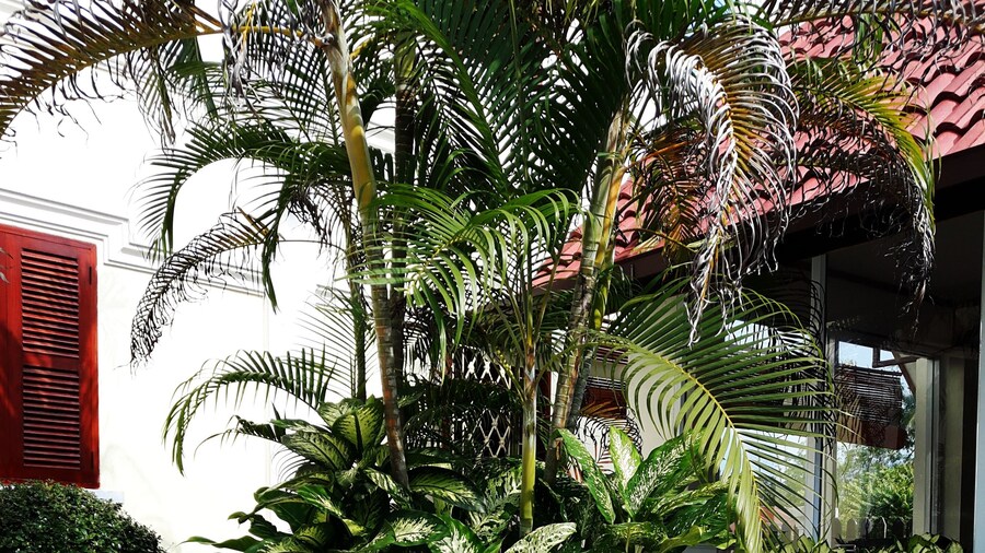 Phonepraseuth Guesthouse