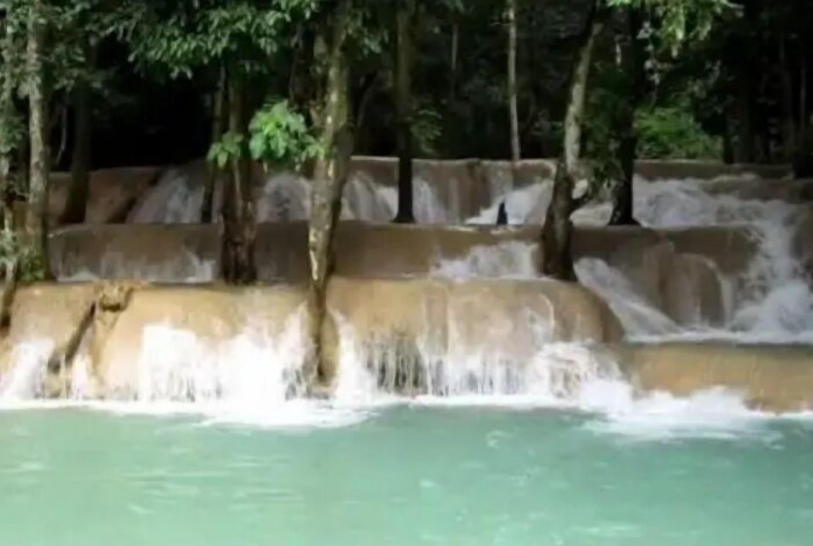 A waterfall cascading over a series of stone steps surrounded by trees.