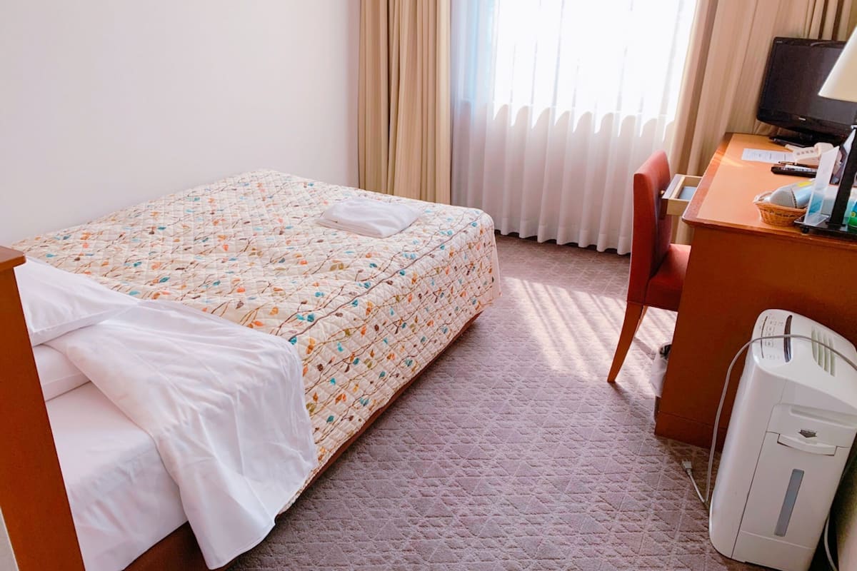 Una habitación de hotel con cama, escritorio, silla, televisor y calefactor.