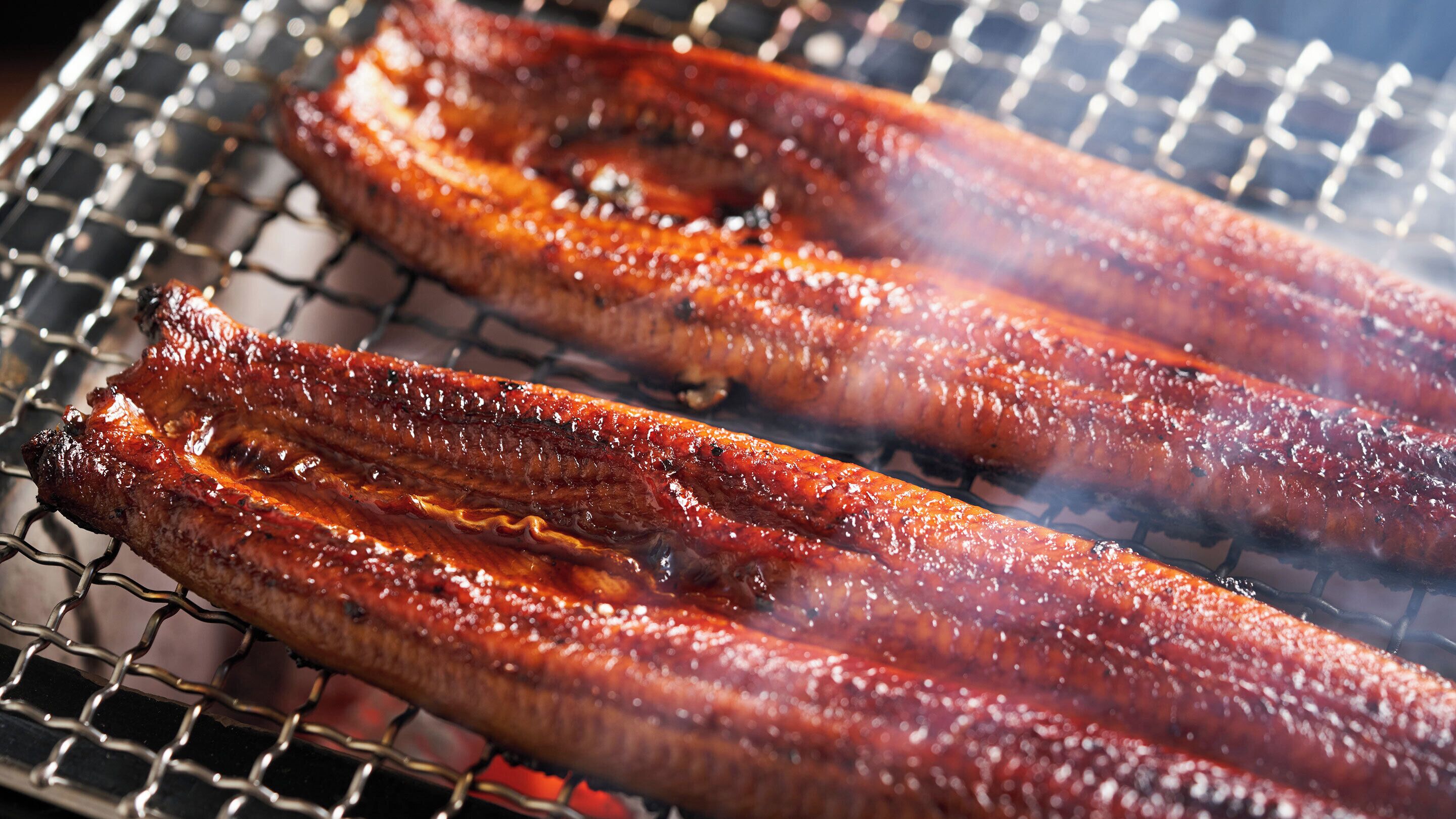 Two smoked meats cooking on a grill.