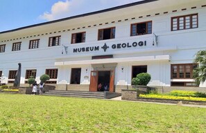 Tours ecológicos