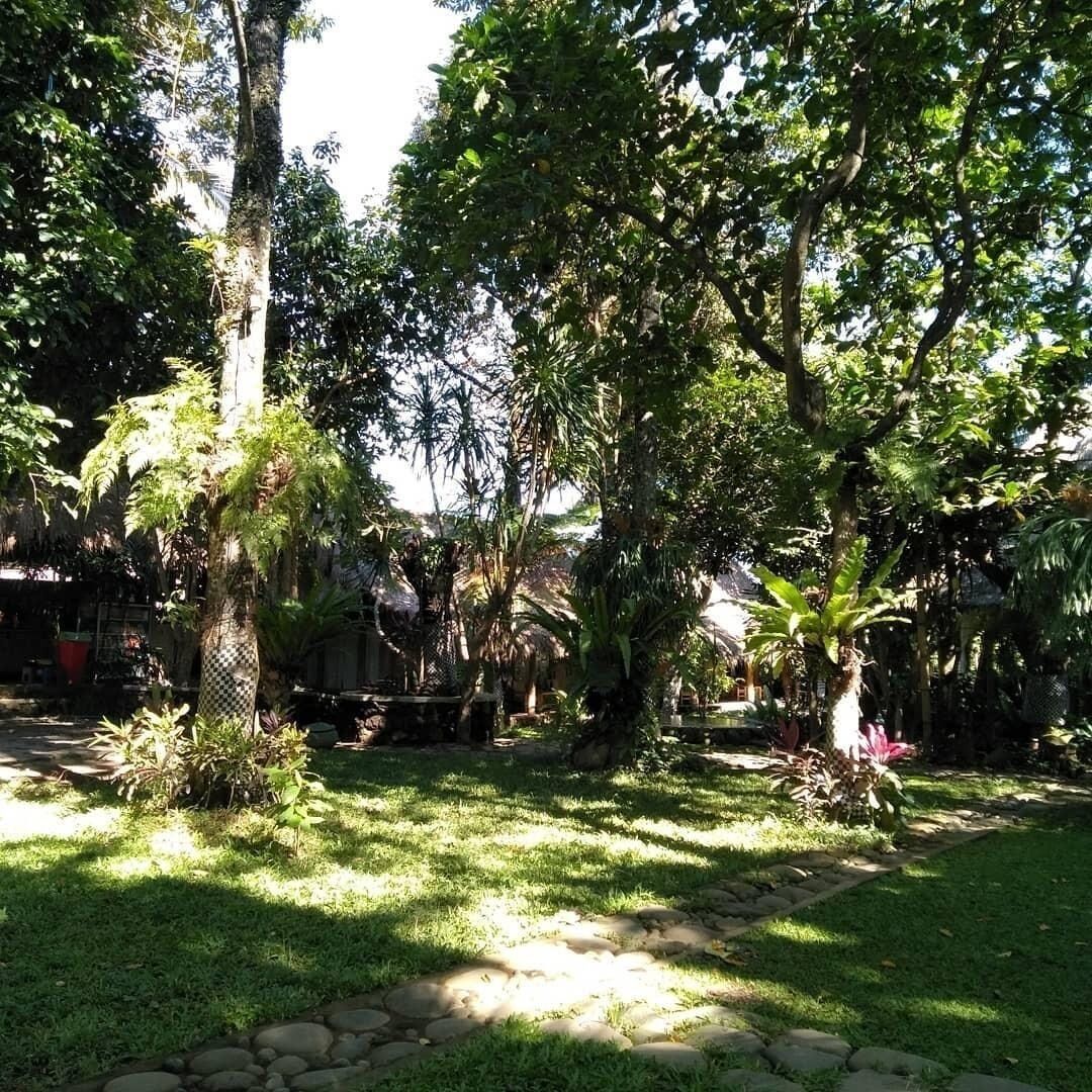 A lush garden with a variety of trees and plants, a stone pathway, and a rustic wooden fence.