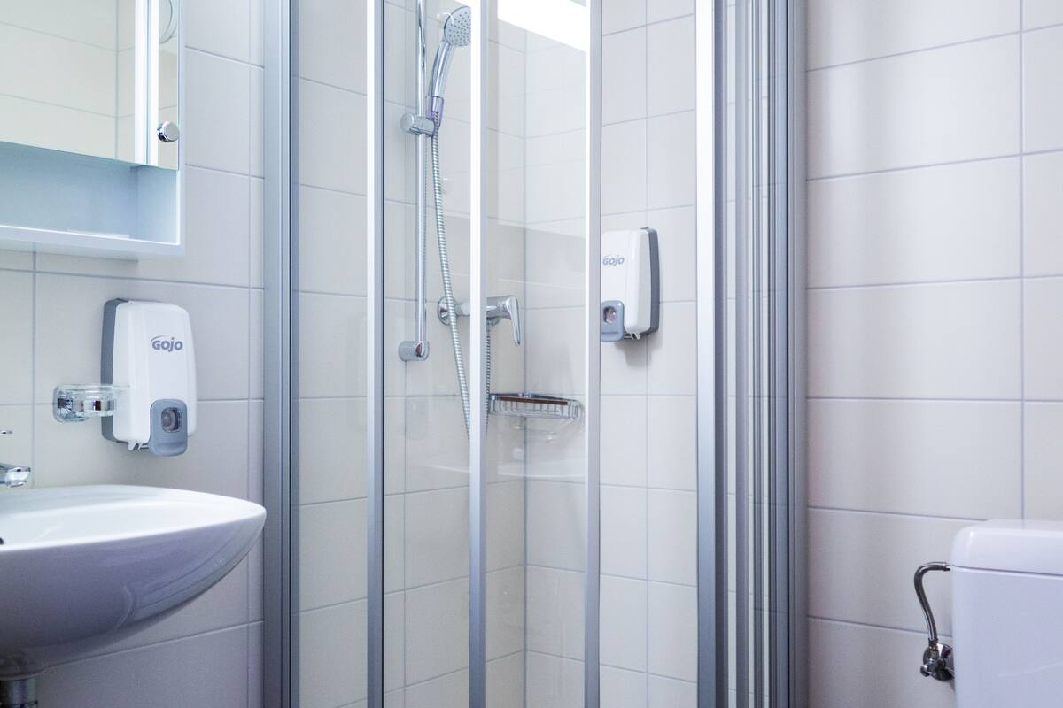 shower, free toiletries, hair dryer, towels