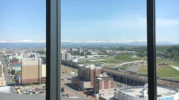 Vista desde la propiedad