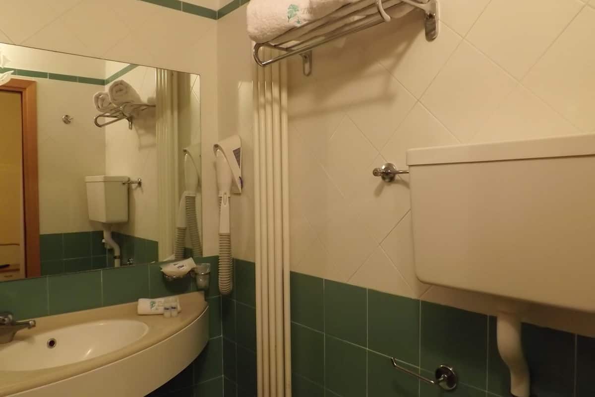 Shower, free toiletries, hair dryer, bidet