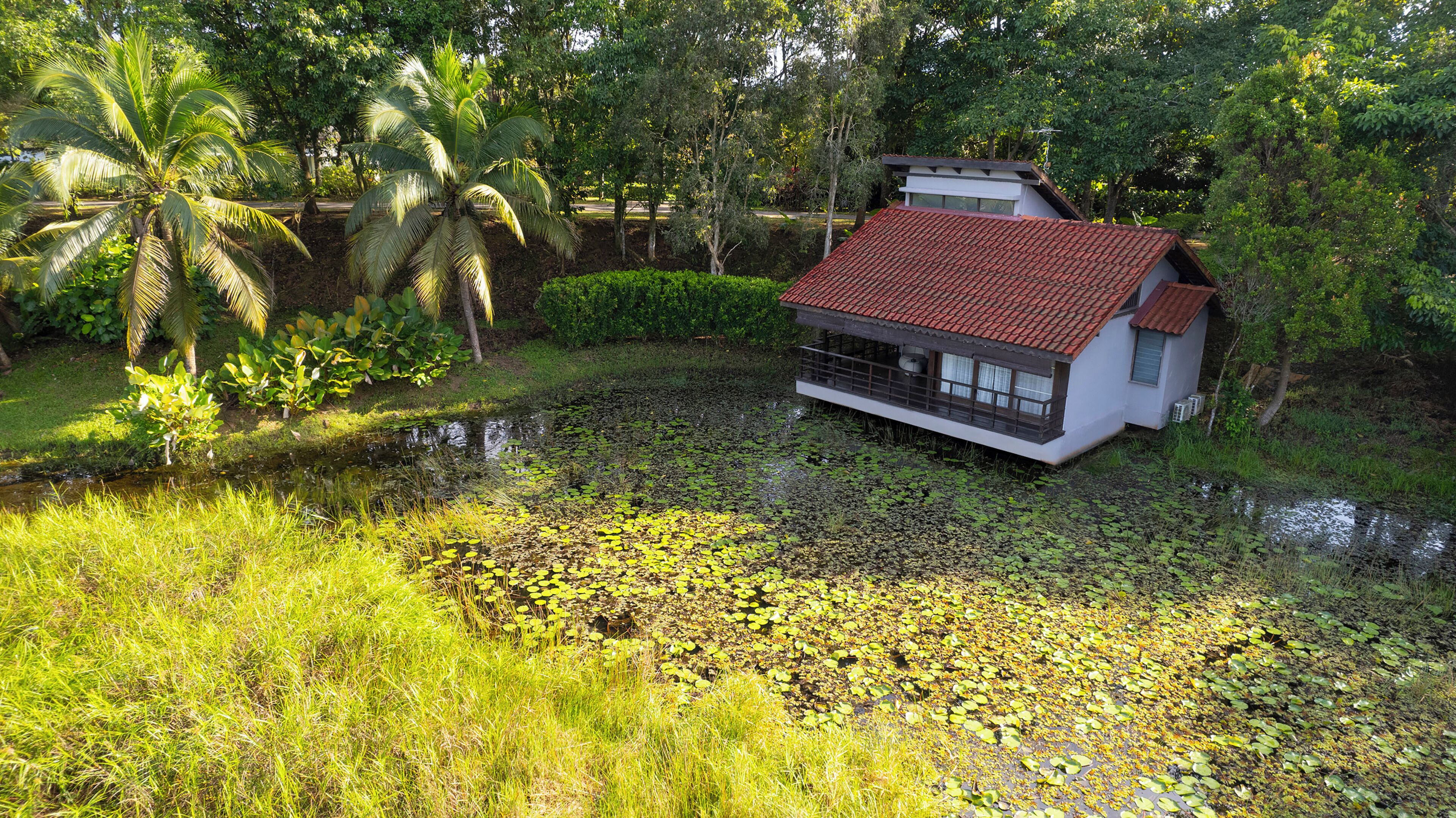 A house with a red roof, surrounded by a pond with lily pads, and palm trees in the background.
