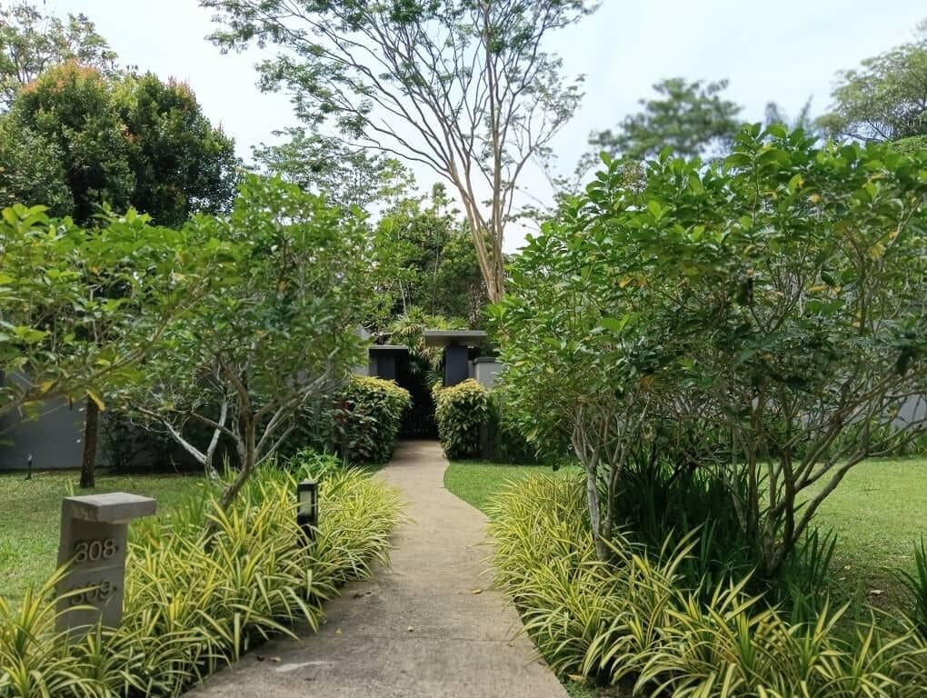 A pathway flanked by lush greenery and a building in the distance.
