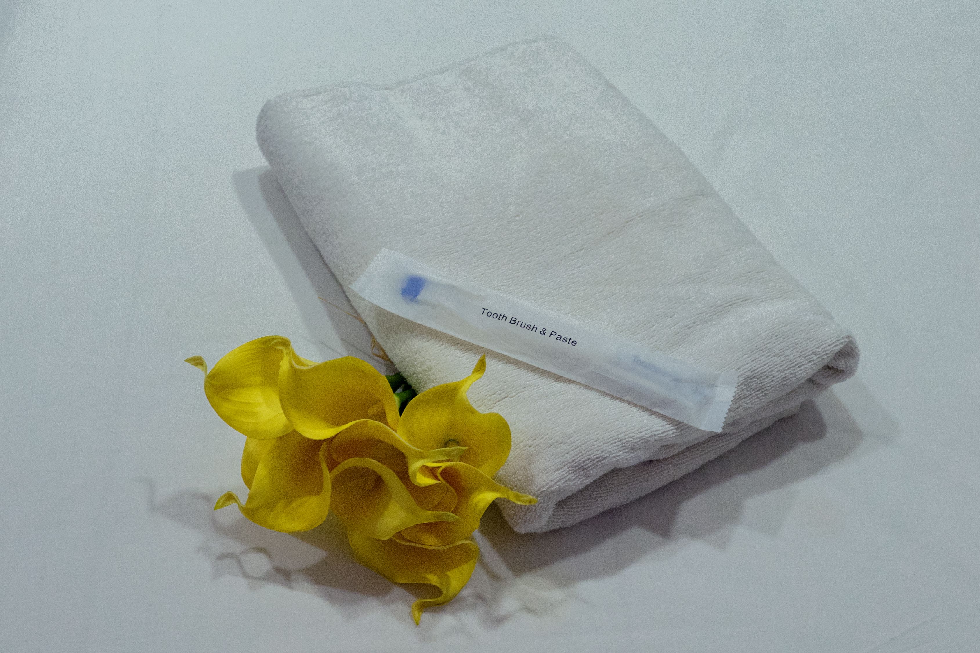 shower, free toiletries, hair dryer, bidet