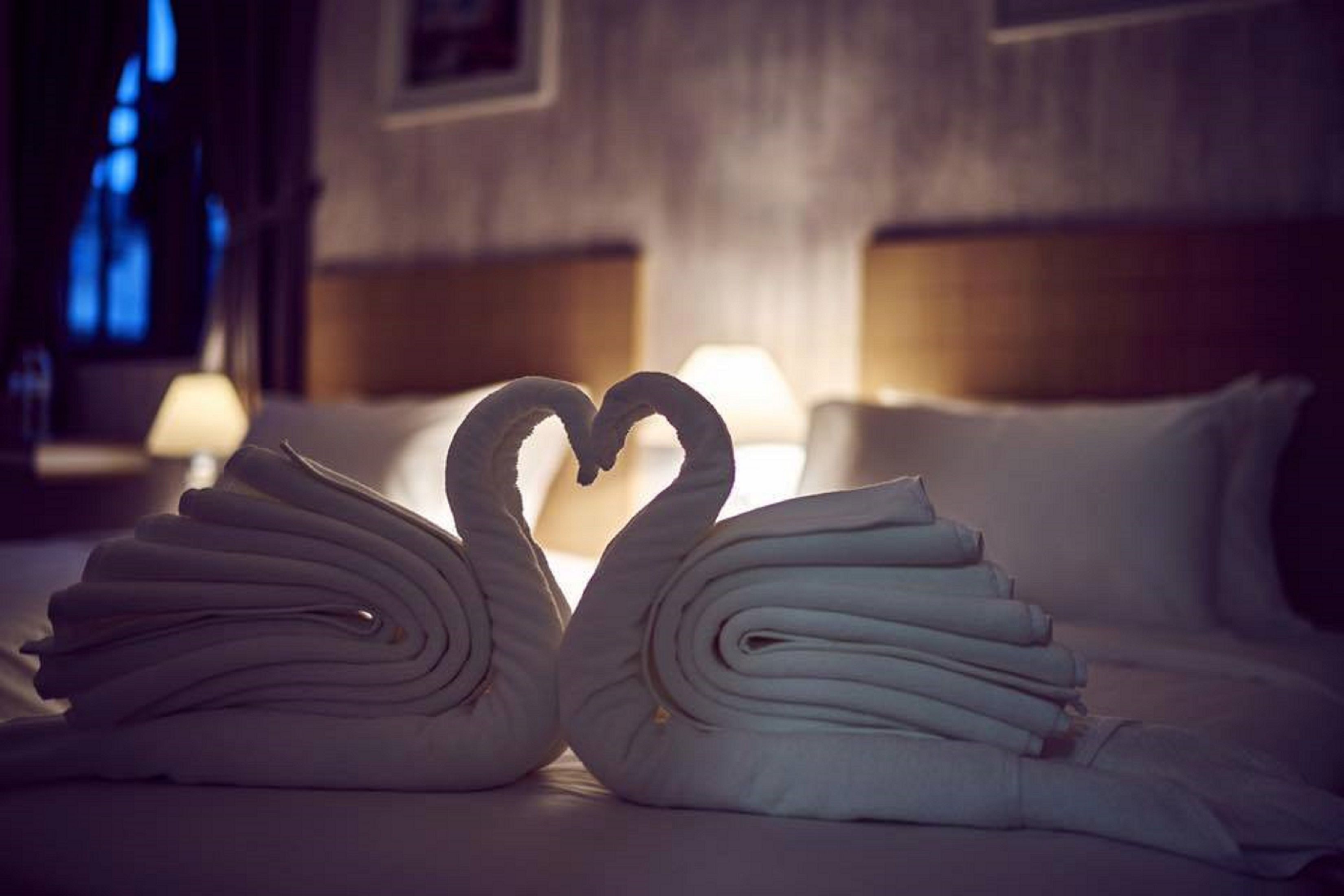 Un lit avec des serviettes disposées en forme de deux cygnes, une table de chevet avec une lampe et un mur orné de tableaux encadrés.