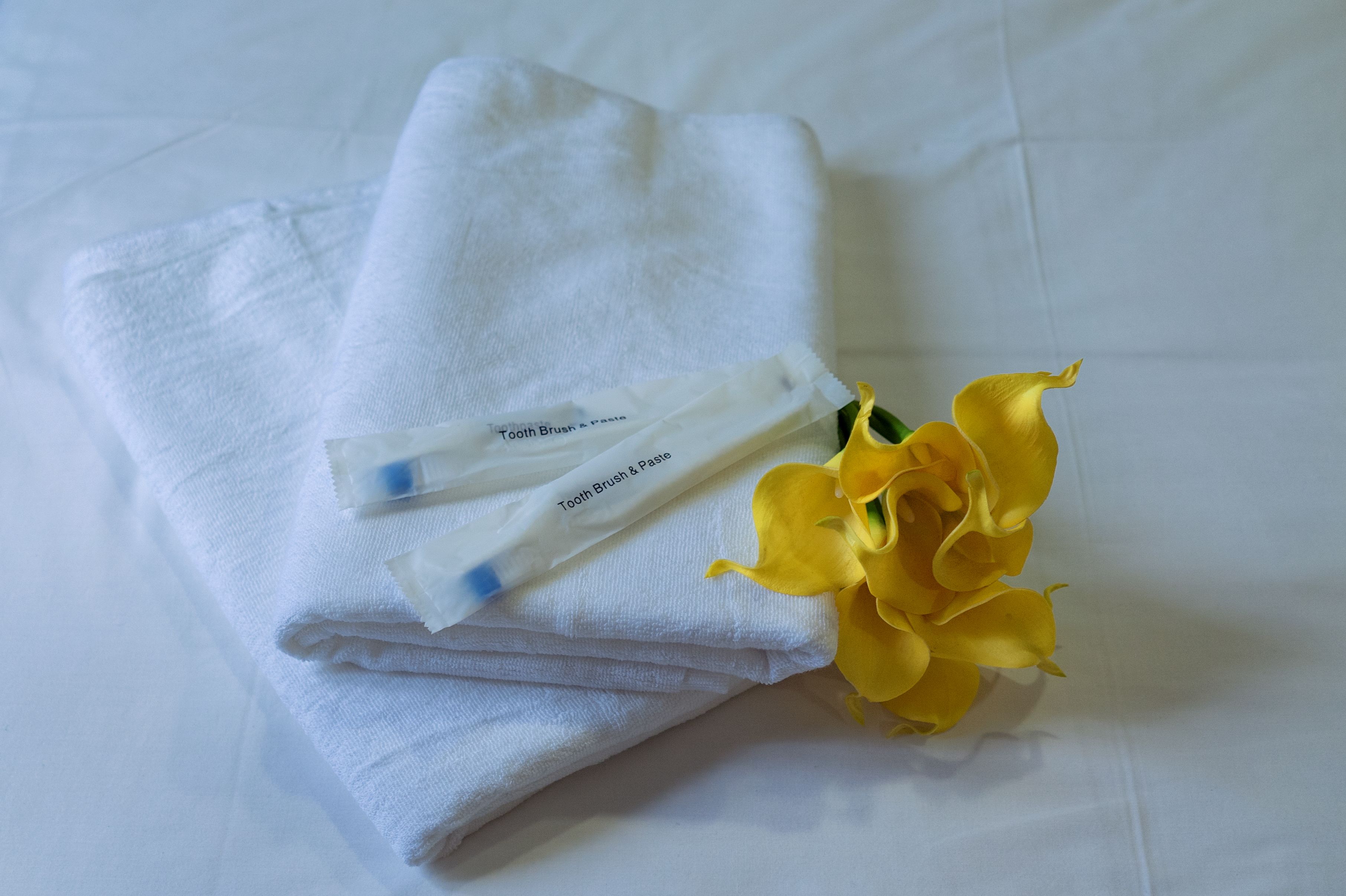 shower, free toiletries, hair dryer, bidet