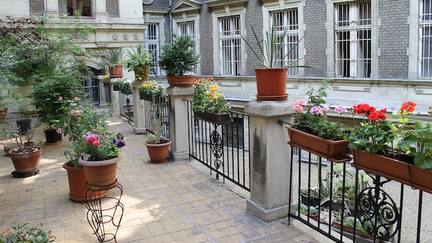 A courtyard with potted plants and a tiled floor.
