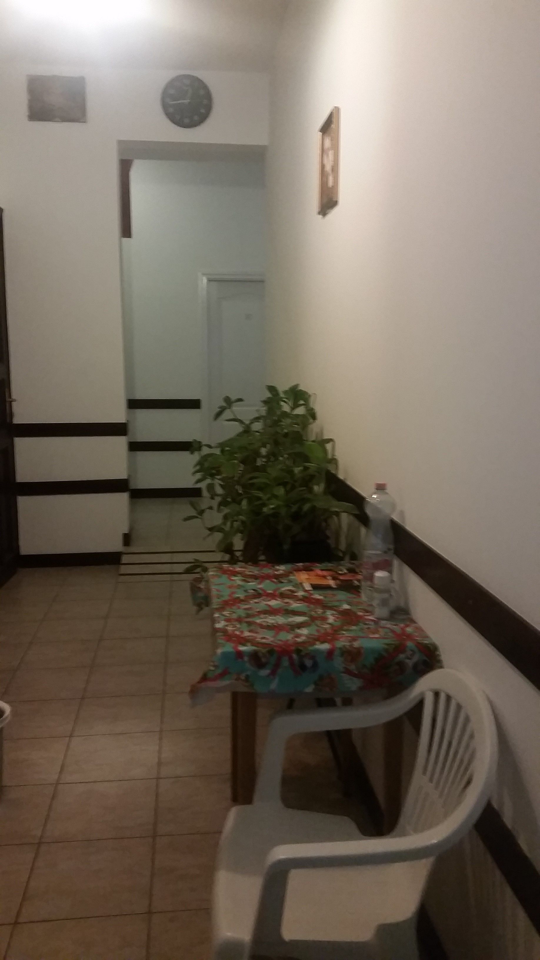 A narrow hallway with a dining table covered with a colorful tablecloth, a potted plant, and a white plastic chair.