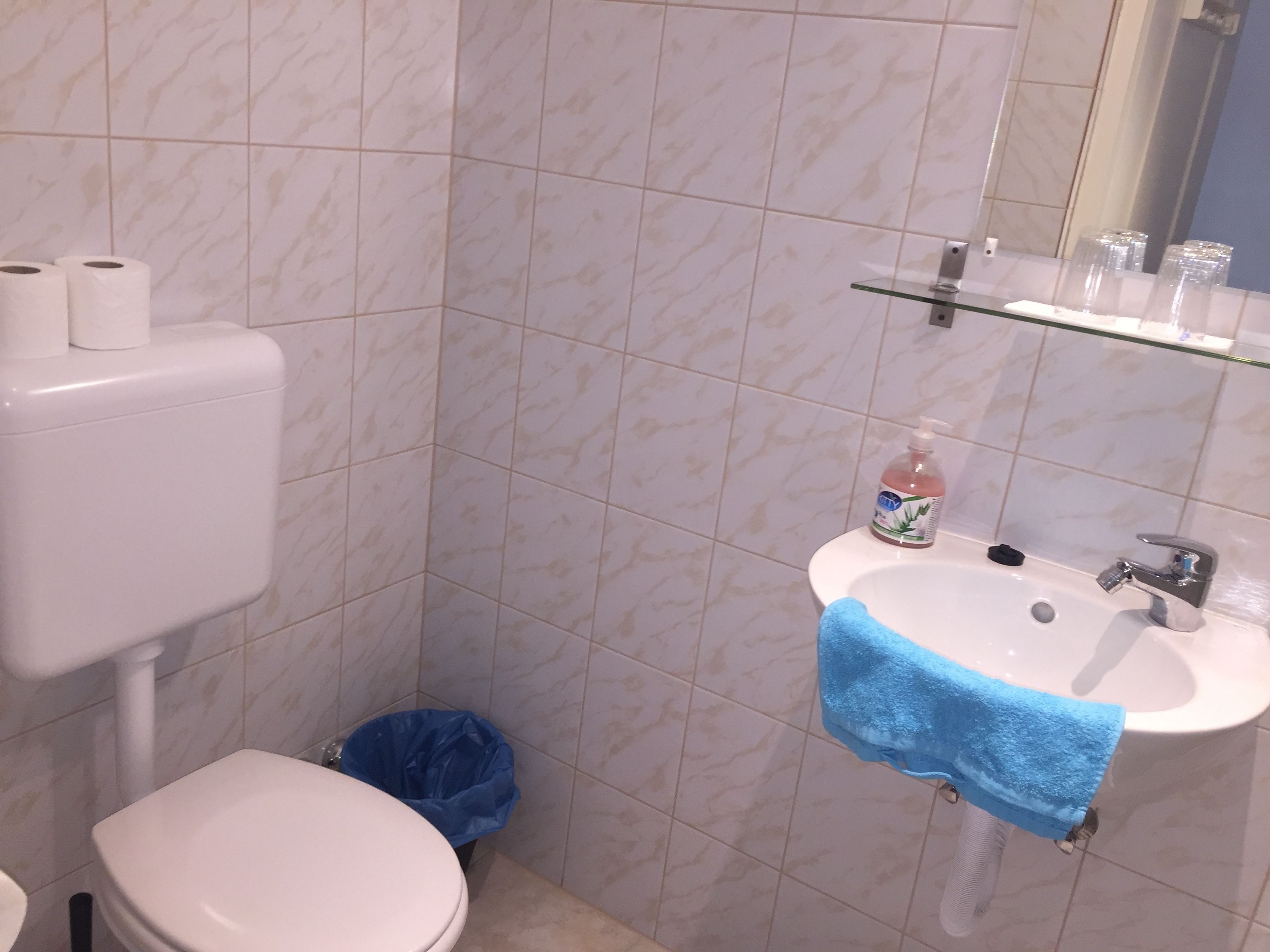 A bathroom with a toilet, a sink, and a mirror.