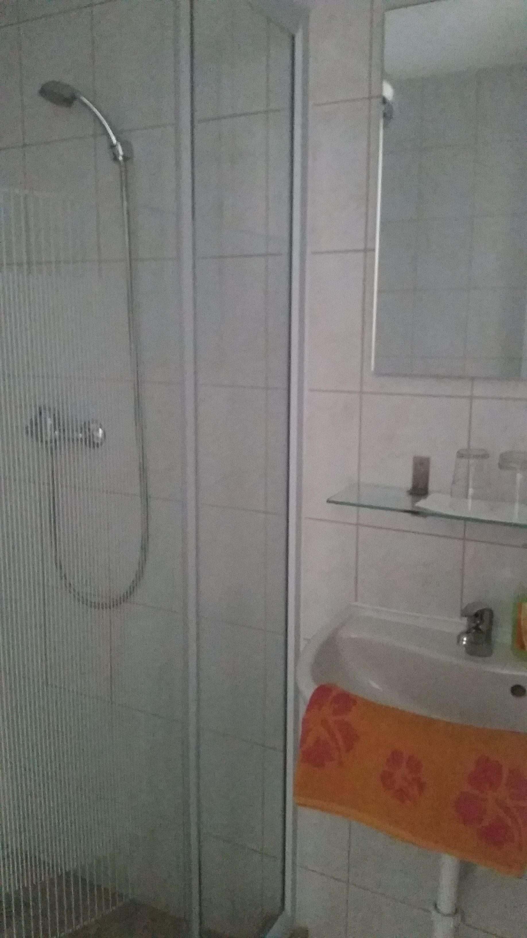 A bathroom with a shower enclosure, a sink, and a mirror.