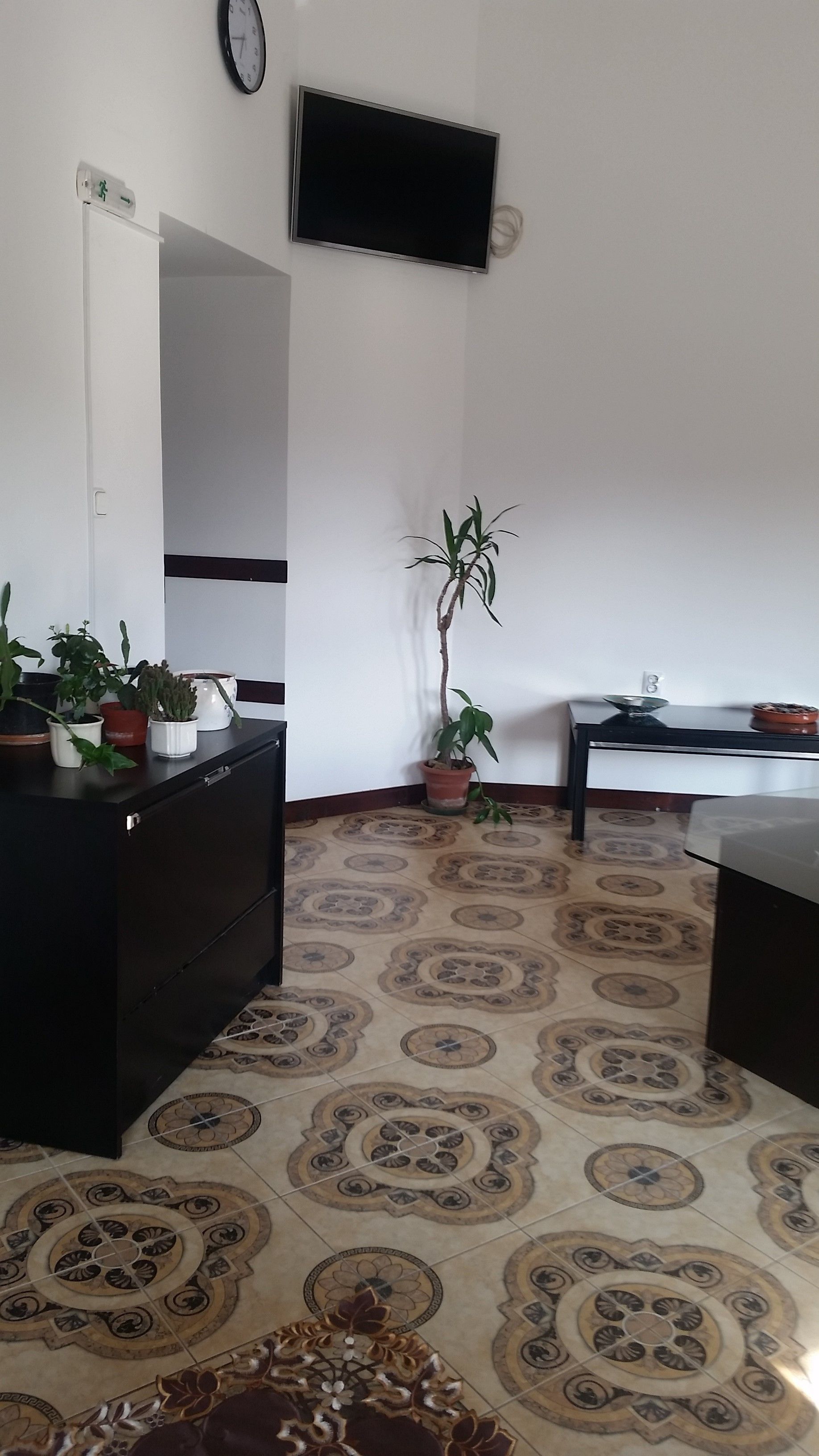 A room with patterned floor tiles, a flat-screen TV mounted on the wall, a potted plant, and a small table with a bowl.