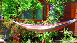 Bungalow | View from room - Baraka House Cirali (Kemer)