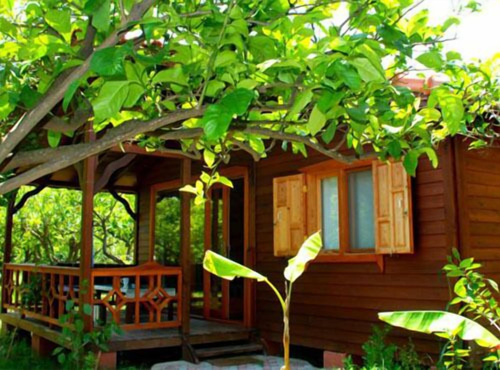 Bungalow | Terrace/patio