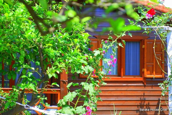 Bungalow | Vue de la chambre