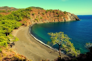 Vista desde la propiedad