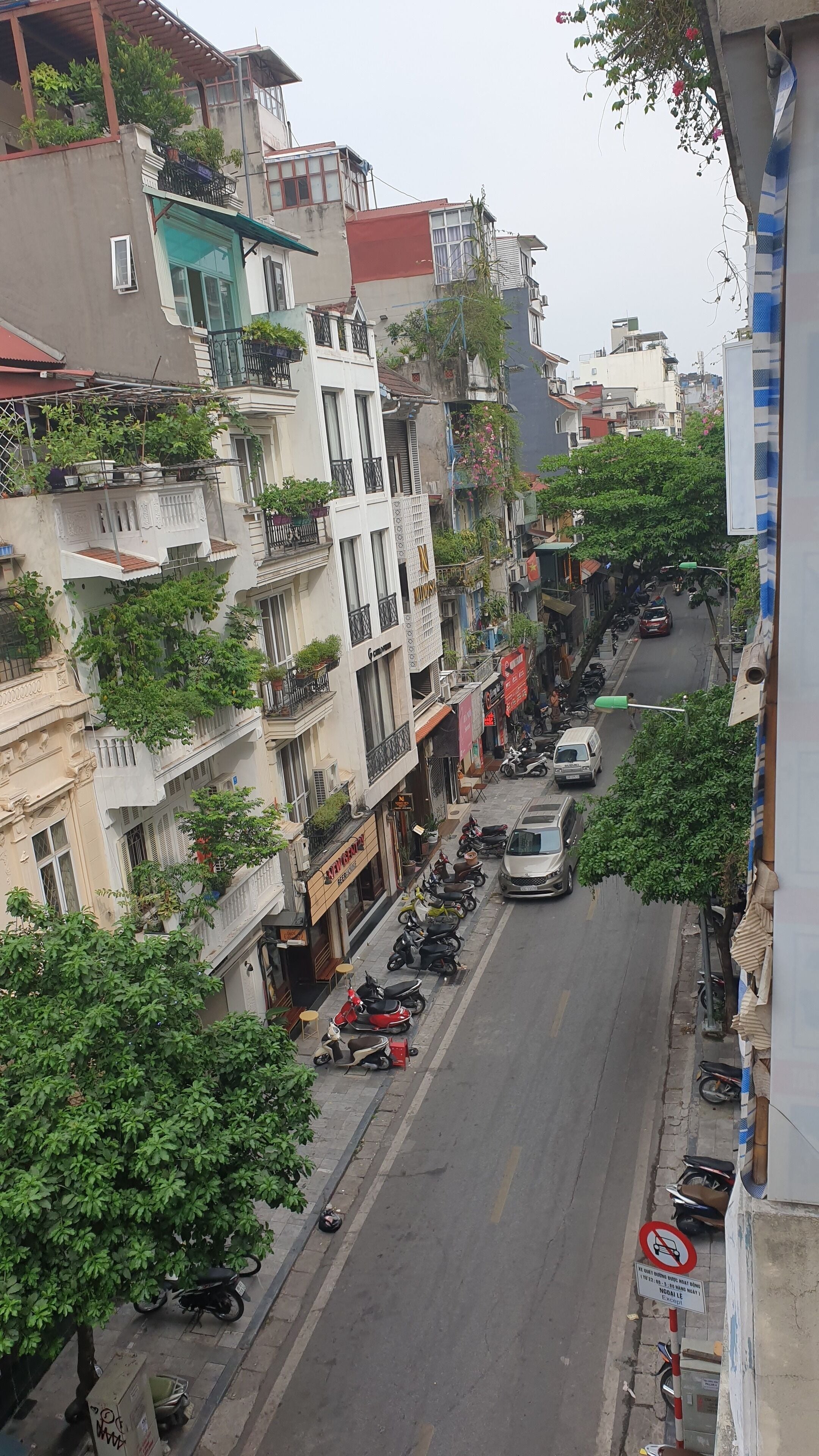 Foto - Golden Moon Suite Hotel & Travel