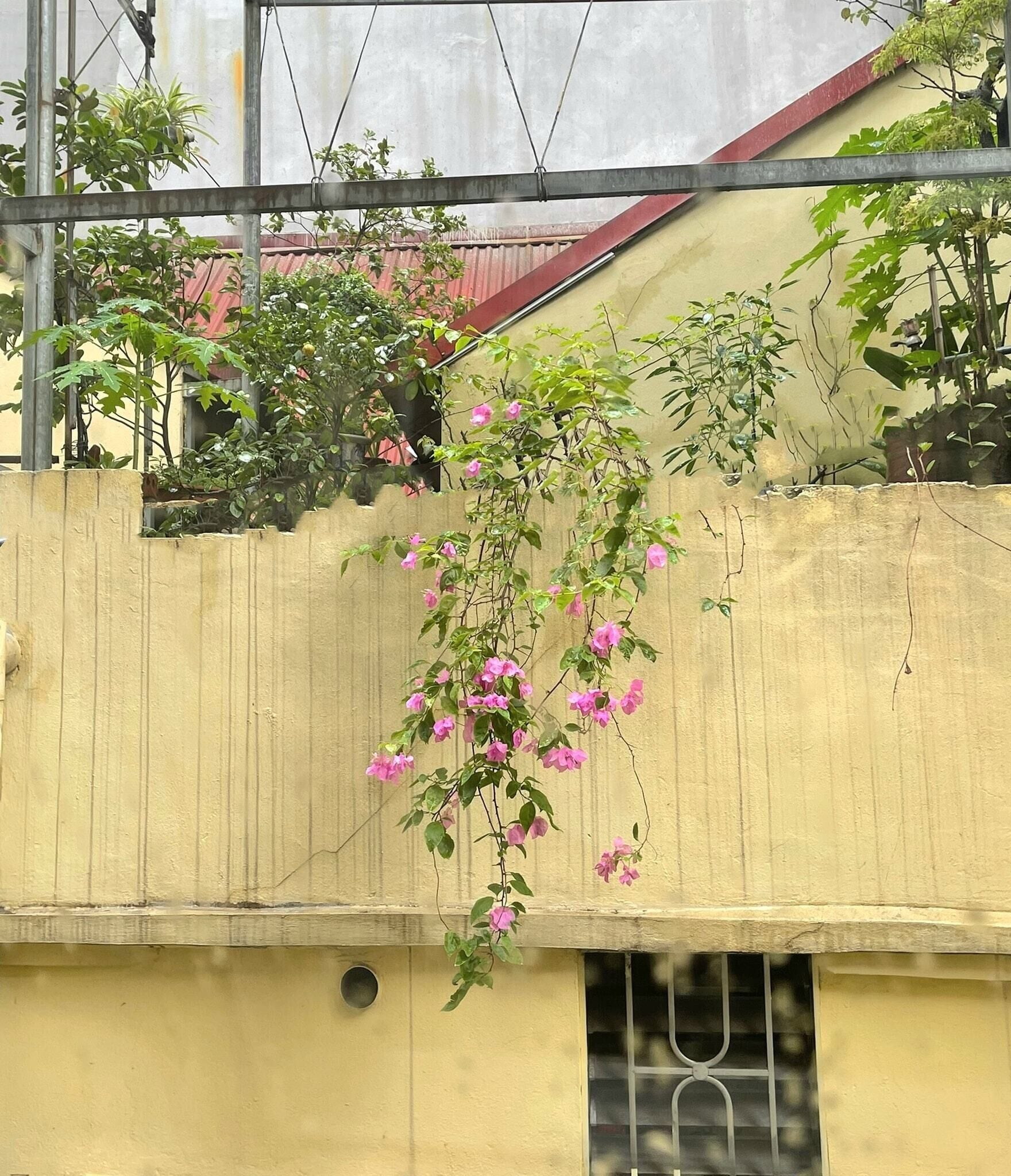 Photo - Golden Moon Suite Hotel & Travel