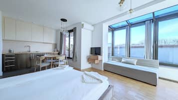 1 habitación, decoración personalizada y muebles diferentes