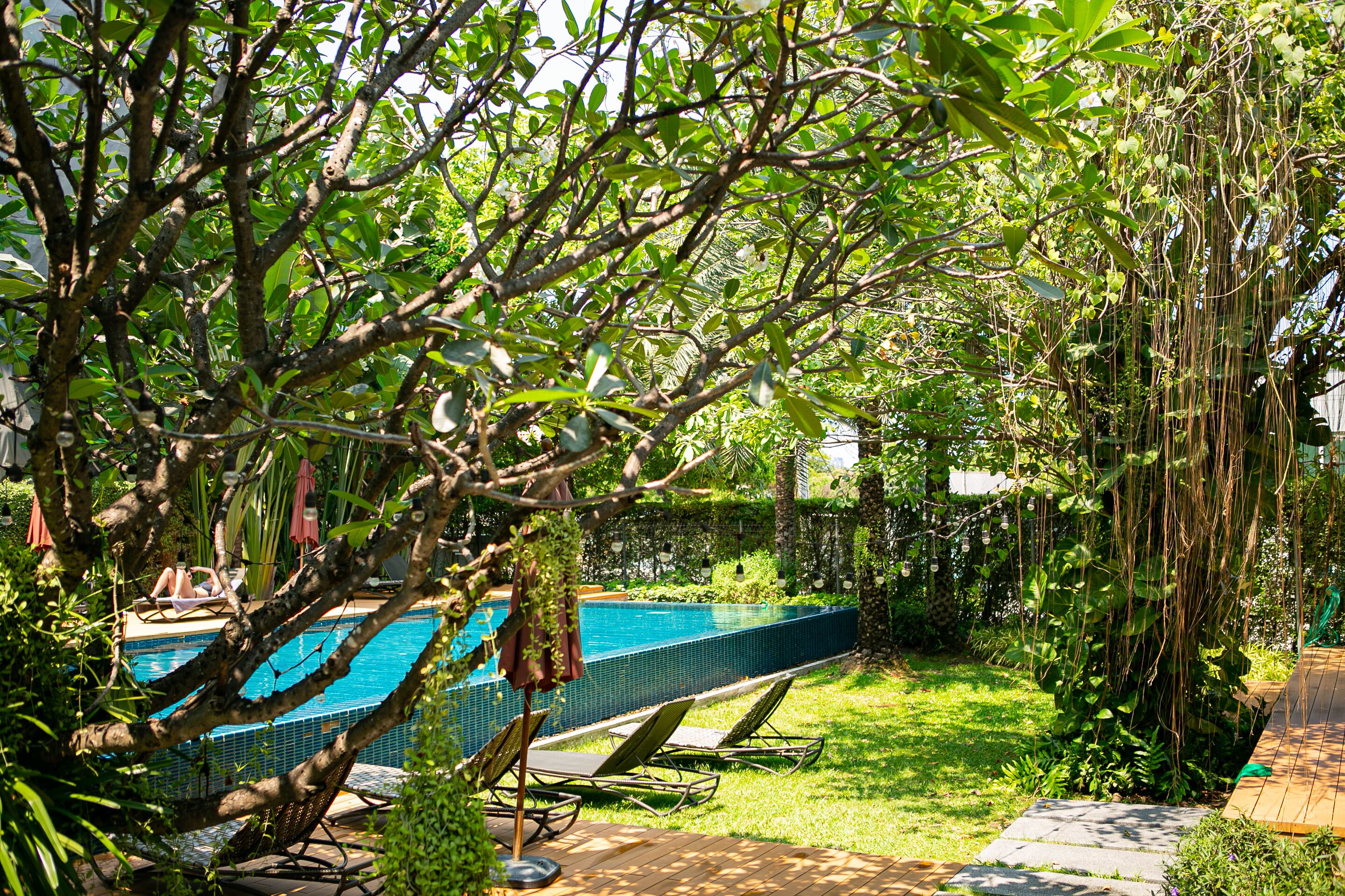 A swimming pool surrounded by lush greenery, with a wooden deck and lounge chairs.