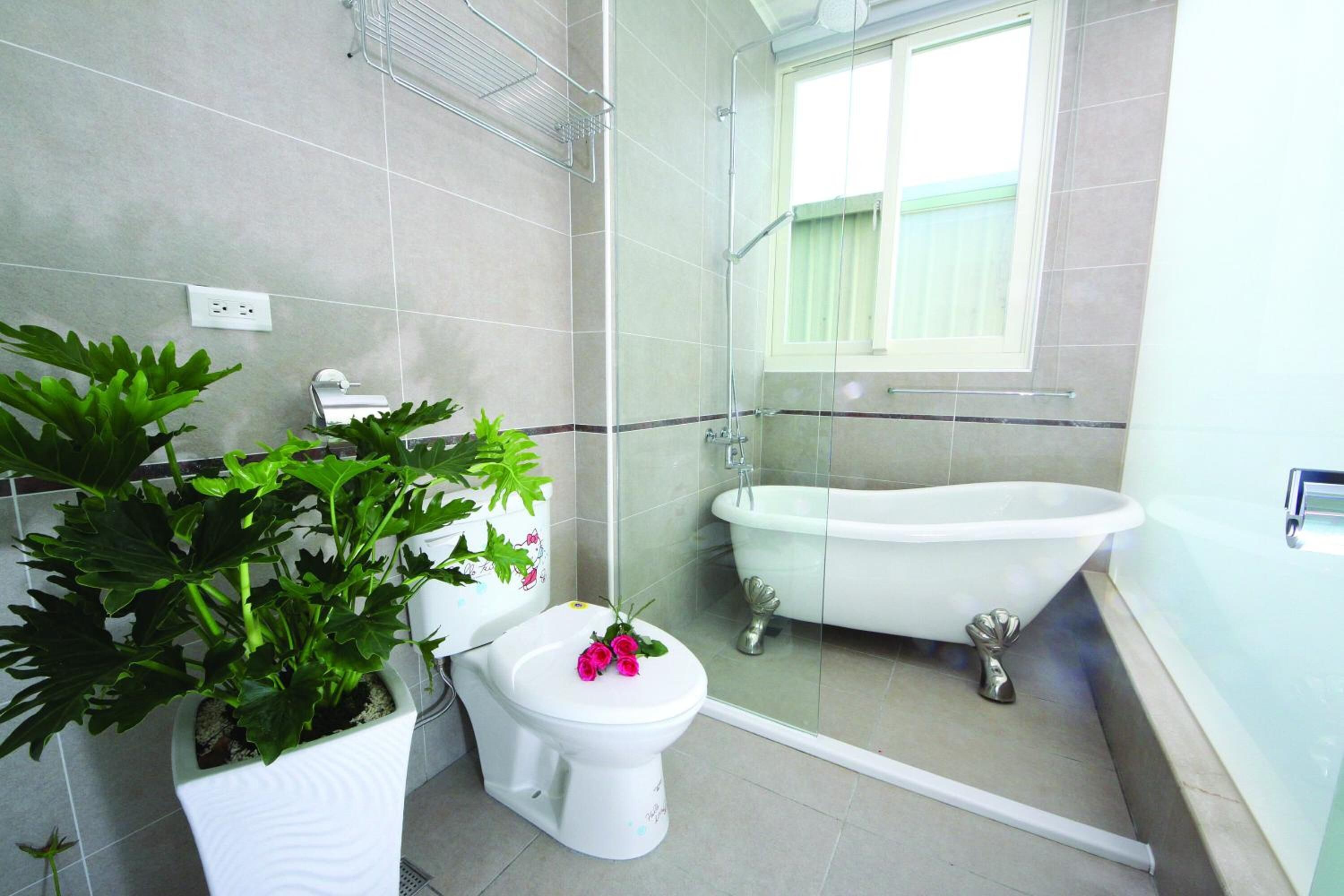 Artículos de tocador gratuitos, secador de pelo, toallas